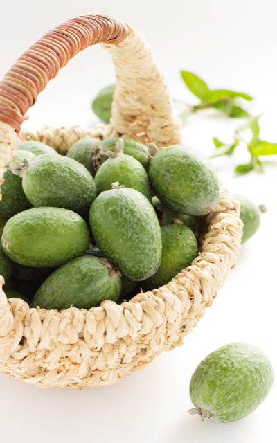 Healthy Feijoa Fruit